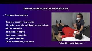 PNF Proprioceptive Neuromuscular Facilitation for the Upper Extremity [upl. by Rehpotirhc]