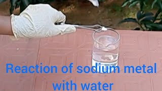 Reaction of sodium metal with water [upl. by Onaicul]