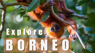 Explore Borneo Malaysia  2 week itinerary [upl. by Cresida]