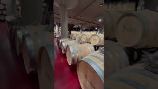 🍶 Wine Barrels 🇪🇸 [upl. by Borlase961]