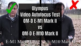 Pro Camera vs Entry Level Video Autofocus EM1II vs EM10II amp Should You Upgrade ep117 [upl. by Ludmilla973]