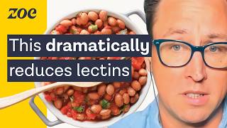 Should you worry about lectins  Dr Will Bulsiewicz [upl. by Brandise741]