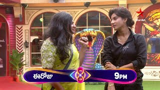 Bigg Boss Telugu 8  Day 70  Promo 1  Unforgettable Hilarious Moments 🤣 Nagarjuna  Star Maa [upl. by Yusem269]