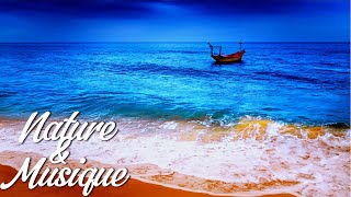 Musique de relaxation  bruits de vagues  apaisent lesprit [upl. by Ervin]