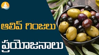 Awesome Health Benefits Of Olive Seeds  drcalmssanjeevani olivertree oliveoil seeds health [upl. by Sewole]