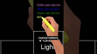 Breakdown Of The Colors In Visible Light Of The Electromagnetic Spectrum [upl. by Senzer71]