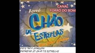 forró chão de estrelas vol 1 [upl. by Caesar]