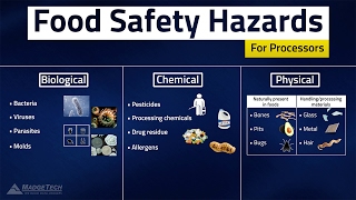 HACCP Food Safety Hazards [upl. by Eimerej721]