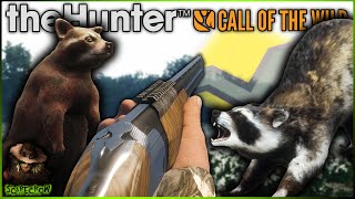 Melanistic amp Diamond Raccoon With BIRDSHOT Mississippi Acres Preserve Early Look Call of the wild [upl. by Amol889]