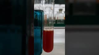 Liebermanns test for phenol chemistry practical class12 [upl. by Laetitia]