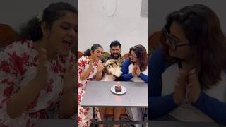 Birthday naadhi cake meedha 🦴🐶ishqyouall funny swv telugu comedy shortvideo [upl. by Ecadnac]