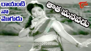 Tata Manavadu Songs  Rayanti Naa Mogudu  SV Ranga Rao  Old Songs  Old Telugu Songs [upl. by Orten714]