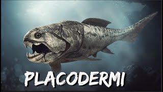 Placodermi  Documentary [upl. by Alexina629]