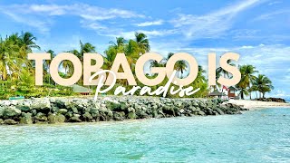 Tobago 2024 vacation vlog🌞💕 [upl. by Ahsitel]