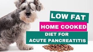 Low fat diet for acute pancreatitis in dogs [upl. by Zinn]