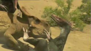 A Epic Battle of Velociraptor vs Protoceratops [upl. by Cornell]