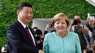 Xi Merkel discuss pandas trade security ahead of G20 summit [upl. by Salli510]