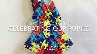 Tettenhall Wood School  Autism Video 2018 [upl. by Polad720]