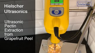 Pectin Extraction from Grapefruit Peel using the Sonicator UP200Ht pectin [upl. by Emmalynn753]