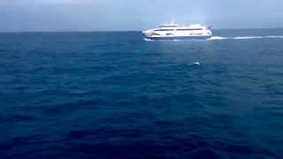 Spirit of Kangaroo Island vehicle ferry seen from Sealion 2000 [upl. by Anaerda728]