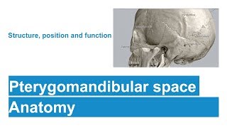 Pterygomandibular space [upl. by Girardi]