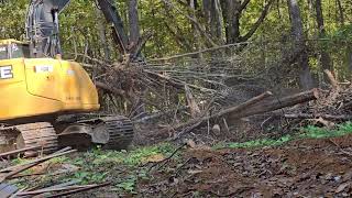 Excavator clearing land [upl. by Akimet233]