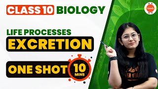 Excretion in Human Beings One Shot in 10 Mins  Life Processes Class 10 Science Biology CBSE2024 [upl. by Mayda]