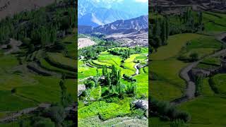 Aerial view of Likir Monastery Ladakh 🏞️ LikirMonastery HimalayanPeace TibetanCulture [upl. by Amihc]