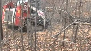 Great Views Brush Clearing LLC Takeuchi TL250 Mulching 4 [upl. by Koenig563]