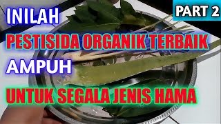 PESTISIDA ORGANIK TERBAIK AMPUH UNTUK SEGALA JENIS HAMA Part 2 [upl. by Yanahs635]