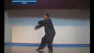 Yongjia by Sim Pooh Ho in slow motion [upl. by Hepsoj]