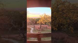 AUTUMN Sunset Vlog at LAPHAM PEAK 3  AUTUMN COLORS 🌅🍂 fall autumn cozy fallambience midwest [upl. by Htevi77]