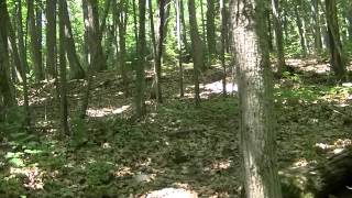 Old Graves on Neebish Island Michigan Century Old Wooden Markers [upl. by Grearson]