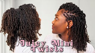 MINI SPRING TWIST DIY  NATURAL HAIRSTYLES [upl. by Netsew]