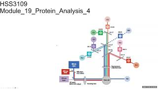 Module19ImmunoprecepitationFlowCytometry [upl. by Darlene]