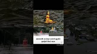 ධර්මදානයක්වේවා truth foryou trending viral love like buddhism motivation subscribe [upl. by Ayotak54]