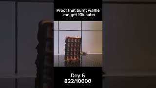 Proof that burnt waffle can get 10k subs Day 6 memes shorts waffle [upl. by Peters]