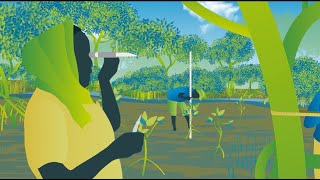 Mangrove Restoration  series  Video 4  Sustaining Mangroves Bahasa [upl. by Aborn80]