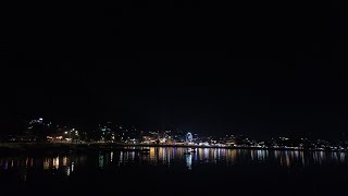 Peaceful night view of Lakeside Pokhara ☘️✨ [upl. by Aneled]