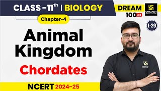 Class 11 Biology Chapter 4  Animal Kingdom  Chordates  L29  Shubham Sir [upl. by Netsreik]