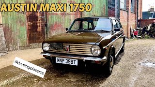 AUSTIN MORRIS MAXI 1750 austinmaxi dealingclassics reillyclassiccars [upl. by Harrie]