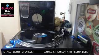 JAMES JT TAYLOR AND REGINA BELLE  ALL I WANT IS FOREVER SA1 LP VERSION 1988 [upl. by Ellednek]