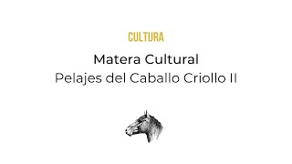 CULTURA Matera Pelajes del Caballo Criollo II Los modificados albinos y albinoides [upl. by Beverly]