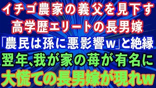 【スカッとする話】イチゴ農家の義父を見下す高学歴エリートの長男嫁「農民は孫に悪影響w」と絶縁。→翌年、我が家のイチゴが有名に。慌てた長男嫁がやってきてw【感動する話】 [upl. by Aikrehs]