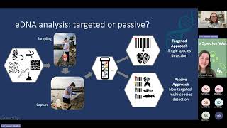 Webinar using eDNA to detect invasive non native species [upl. by Assirral]