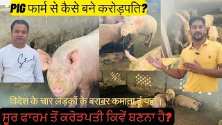 Pig Farming in India । Pig Farm । best agribusiness idea pigfarming pigfarm agribusiness [upl. by Lyrrad]