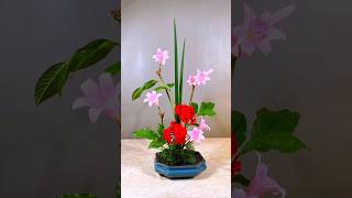 Pink Amaryllis and Red Geranium Flower Arrangement 花藝 flowers [upl. by Iy]