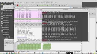 ICMP packet format explained with Wireshark  IP Header Ethernet ICMP Header  timestamp Linux [upl. by Anyahs]