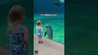 Little girl and super social dolphin stop to have a sweet chat  Humankind shorts goodnews [upl. by Asyl]