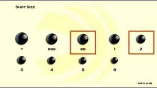 Choosing Shot Size [upl. by Lezned]